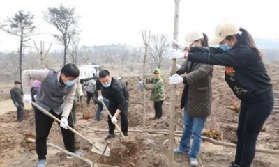 示劍助力沈陽市人大(dà)青工(gōng)委“雲植樹(shù)”，守護祖國的青山綠水！