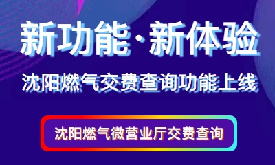 示劍助力沈陽燃氣交費(fèi)查詢功能成功上線